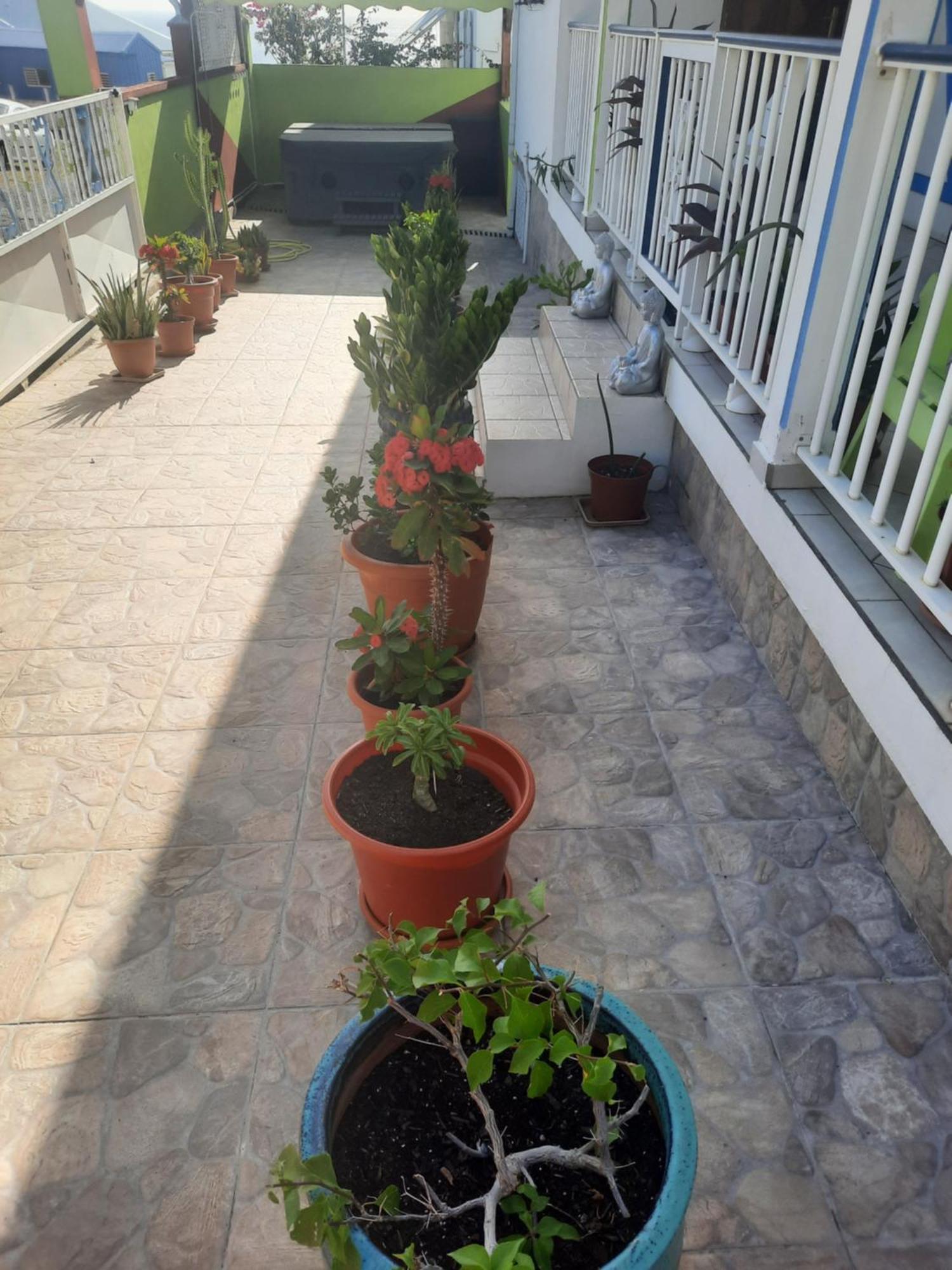 La Casa Binecha Avec Jacuzzi Βίλα Baillif Εξωτερικό φωτογραφία